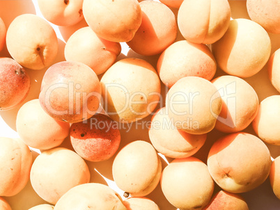 Retro looking Apricots