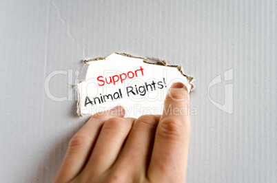 Support animal rights text concept
