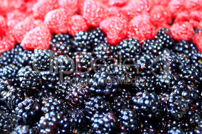 blackberries and raspberry