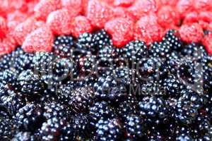 blackberries and raspberry