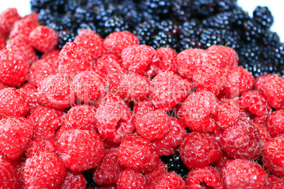 blackberries and raspberries