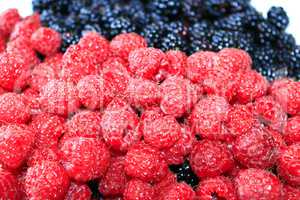 blackberries and raspberries