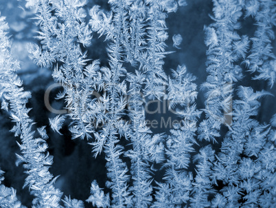 Ice pattern on winter glass