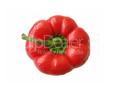 red sweet pepper