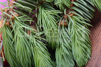 Closeup of beautiful Christmas baubles, Decorated christmas tree, holiday background, green tree eve branch close up with christmas balls