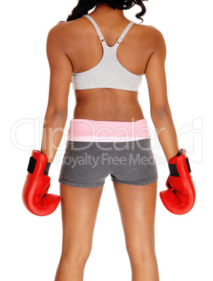 Athletic woman wearing boxing gloves.