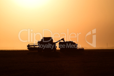 Harvesting by combines at sunset.