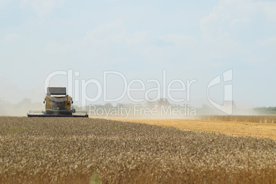 Harvesting by combines