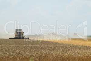Harvesting by combines