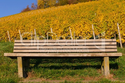 Sitzbank im herbstlichen Weinberg