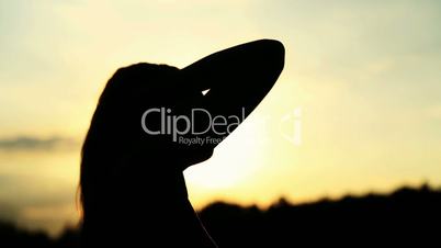 Silhouette of the woman dancing during beautiful sunset. Natural light and darkness.