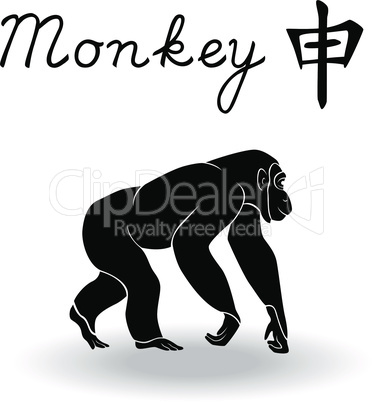 Chinese Zodiac Sign Monkey
