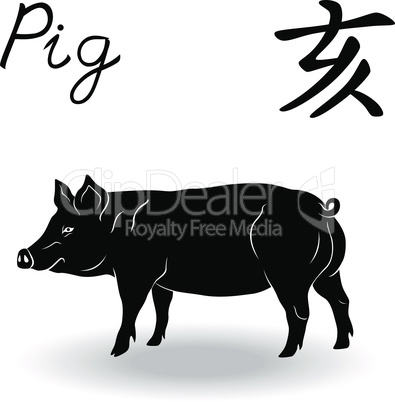 Chinese Zodiac Sign Pig