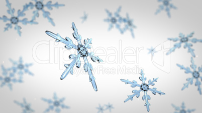 snowflakes focusing background white