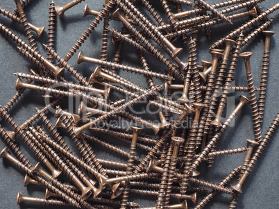 Wood screw