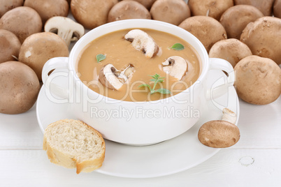 Pilzsuppe Pilz Champignons Suppe mit Pilze in Suppentasse