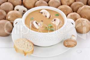 Pilzsuppe Pilz Champignons Suppe mit Pilze in Suppentasse