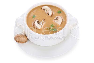 Pilzsuppe Pilz Champignons Suppe in Suppentasse Freisteller