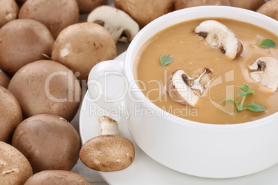 Pilzsuppe Pilz Champignons Suppe mit Pilze Nahaufnahme