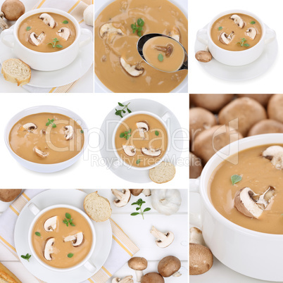 Collage Pilzsuppe Pilz Champignons Suppe Suppen in Suppentasse i