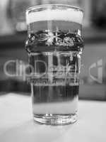 Black and white Pint of British ale beer