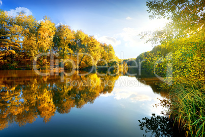 Colorful autumn on river