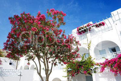 Building of hotel in traditional Greek style, Santorini island,