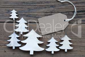Label And Christmas Trees With Copy Space