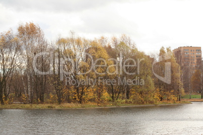 autumn in city park