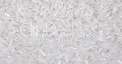 rice background