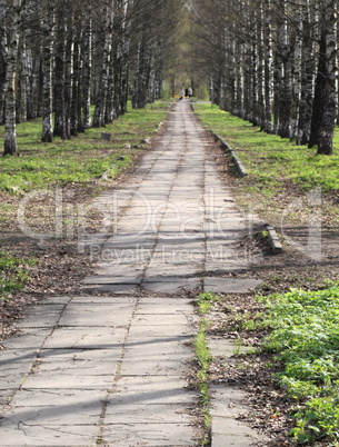 spring in city park