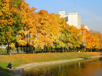 autumn in city park