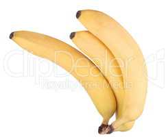 three yellow banana isolated