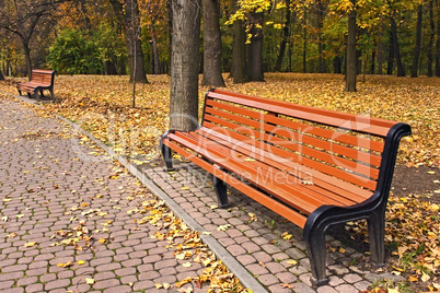 Bench in park in falling season