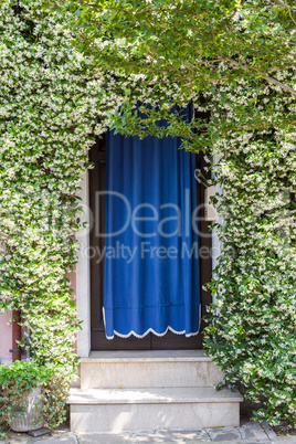 Home entrance covered with blooming plants