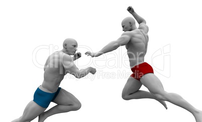 Martial Arts Combat