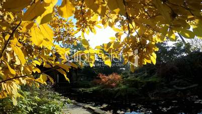 Bright colors of autumn in the Park near Krasnodar, Russia