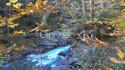 Mountain stream, autumn forest in the foothills of the Caucasus Russia