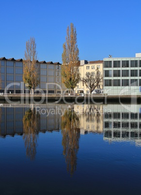 Trees and buildings mirroring in the Rhine