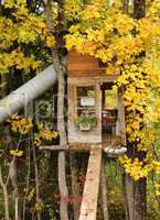 Little tree house with bed and slide