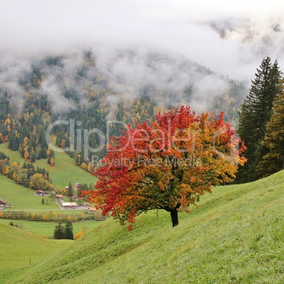 Autumn day in the Swiss Alps