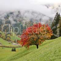 Autumn day in the Swiss Alps