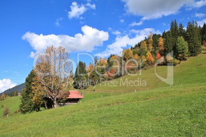 Rural autumn background