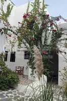 traditional greece houses in kamari on santorini island