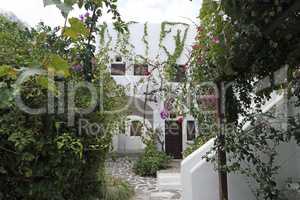 traditional greece houses in kamari on santorini island