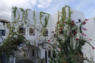 traditional greece houses in kamari on santorini island