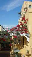 traditional greece architecutre in oia on santorini island