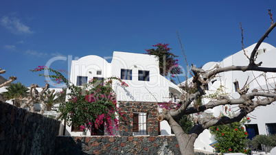 traditional greece houses in kamari on santorini island