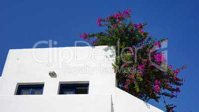 traditional greece houses in kamari on santorini island