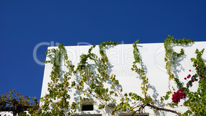 traditional greece houses in kamari on santorini island